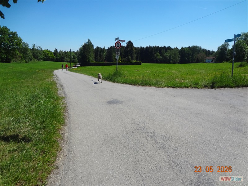 DSC01367