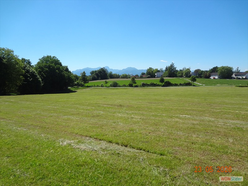 DSC01378