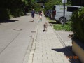 DSC01379